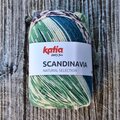 Katia Scandinavia 300