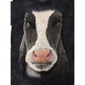 T-Paita puuvilla S Black Cow Face