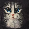 Lasten t-paita Lasten S Blue Eyed Kitten