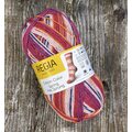 Regia Cotton Color Spring Has Sprung 02469 lady bug
