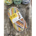 Regia Cotton Color Spring Has Sprung 02466 sunny day