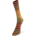 Laines du Nord Paint Sock 30 syksyn värit