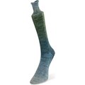 Laines du Nord Watercolor sock 101 sini-vihreät