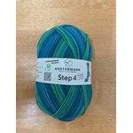 Austermann Step 4 Aura 504 Blau-grün