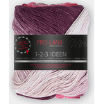 Pro Lana 1-2-3 Ideen 12 roosat
