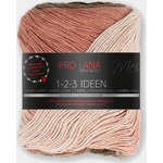 Pro Lana 1-2-3 Ideen 11 puuteriset roosat ja okrat