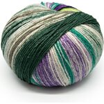 Laines du Nord Summer Socks 12