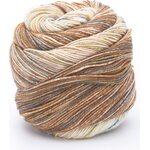 Laines du Nord Paint Gradient Sock 14 ruskeat