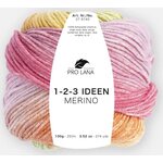 Pro Lana 1-2-3 Ideen Merino 01