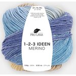 Pro Lana 1-2-3 Ideen Merino 06