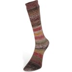 Laines du Nord Carnival Sock 5