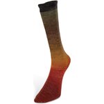 Laines du Nord Harmonious Socks 05 ruoste-okra-ruskea-oliivi