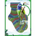 Opal Regenwald 21 6-säikeinen sukkalanka 11612 Steuermann