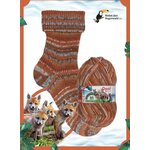 Opal Regenwald 21 6-säikeinen sukkalanka 11616 glückliche Passagiere