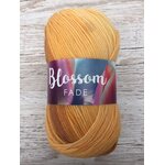 Blossom Fade 36 lämpimänkeltaisesta vaaleankeltaiseen