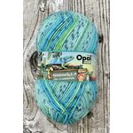 Opal Regenwald 19 11347 turkoosit