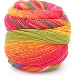 Laines du Nord Infinity Sock 12