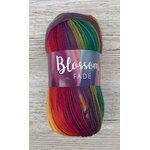 Blossom Fade 32 sateenkaari