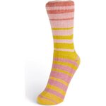 Laines du Nord Summer Sock 102