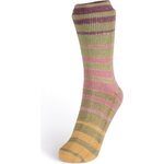 Laines du Nord Summer Sock 104