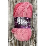 Blossom Glitter 137 pinkit