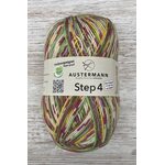 Austermann Step Cupcake 484
