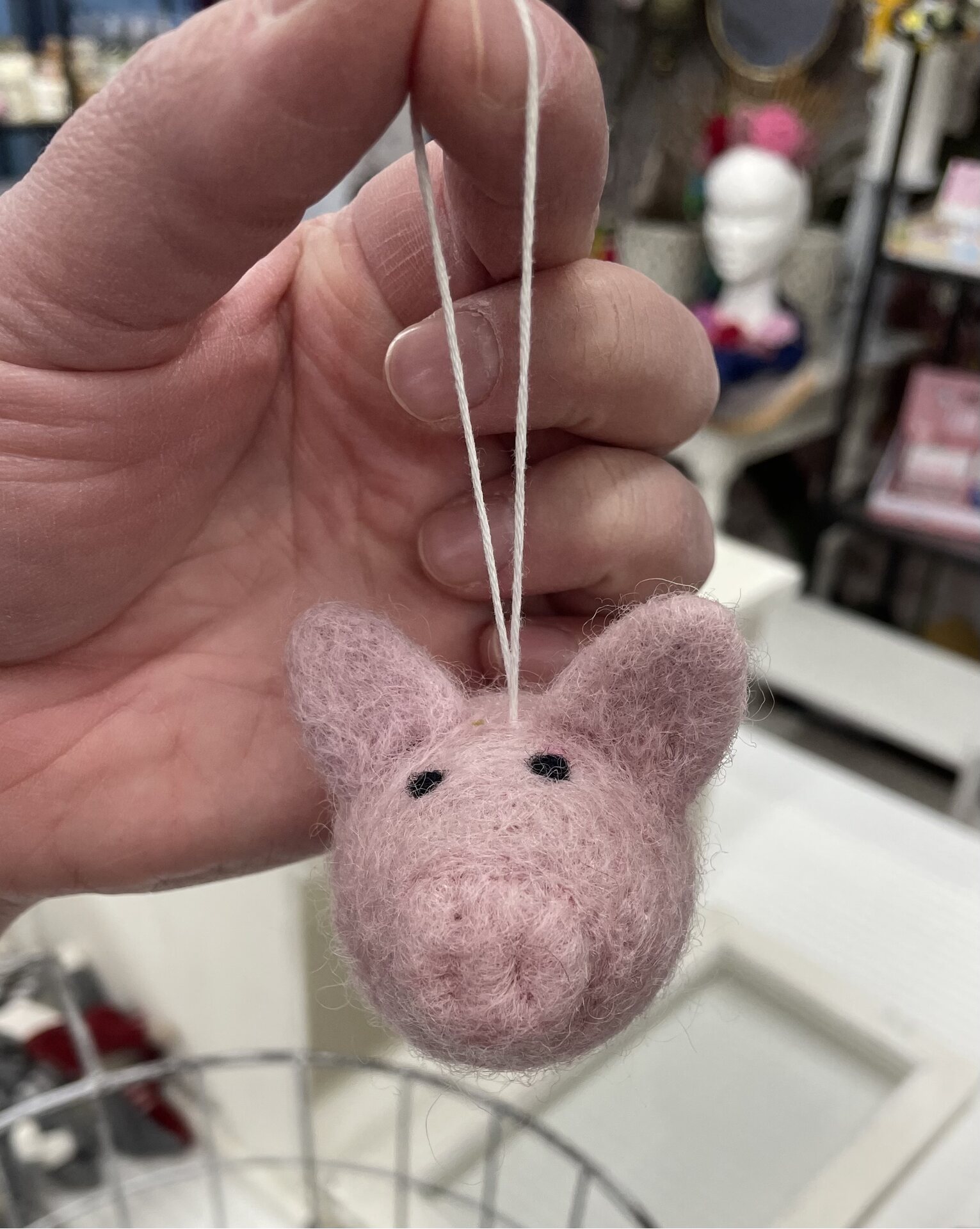 Huovutetut eläinystävät Pallopääpossu