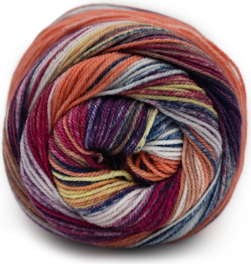 Laines du Nord Eclectic Sock 4