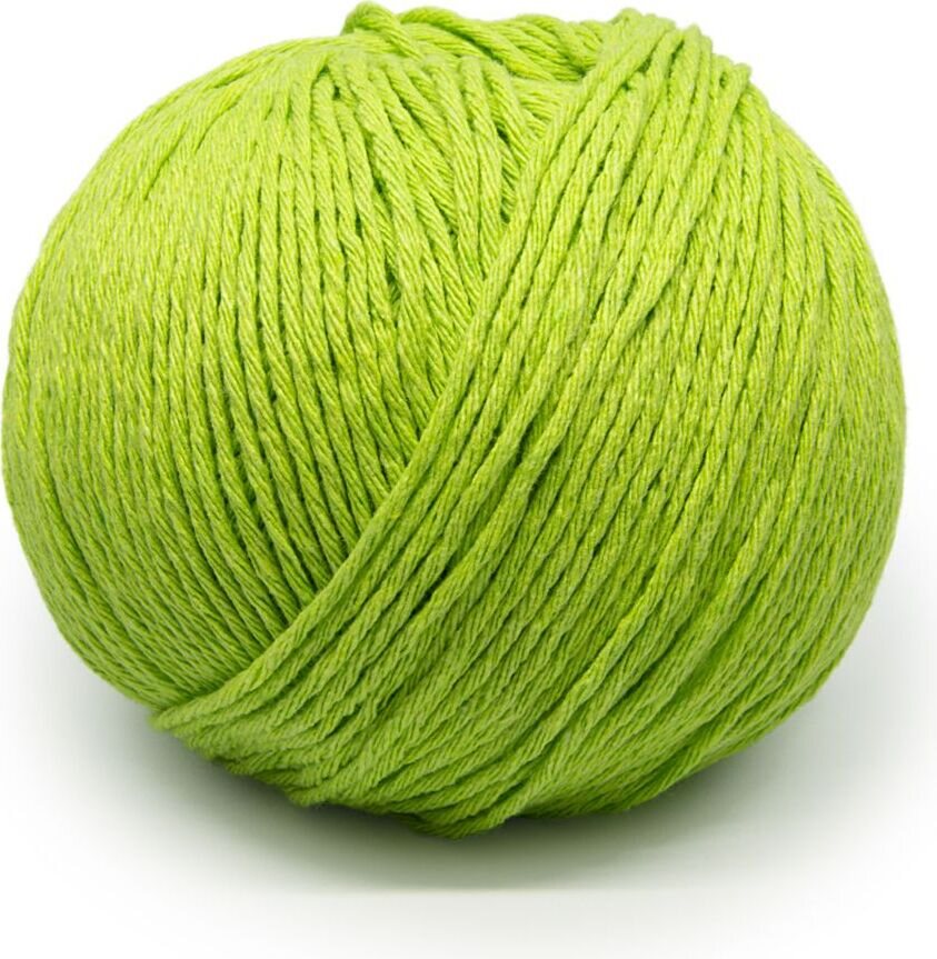 Laines du Nord Ecotone 31 lime