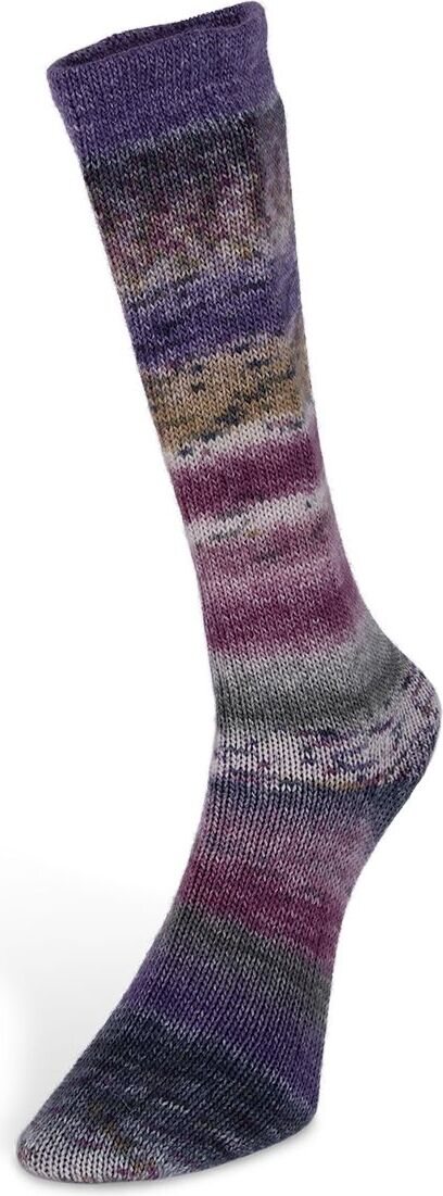 Laines du Nord Carnival Sock 4