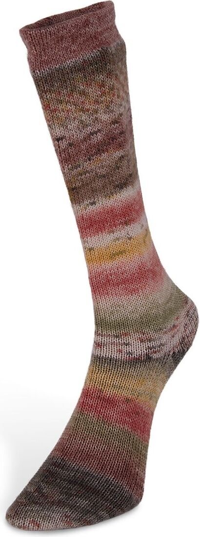 Laines du Nord Carnival Sock 5