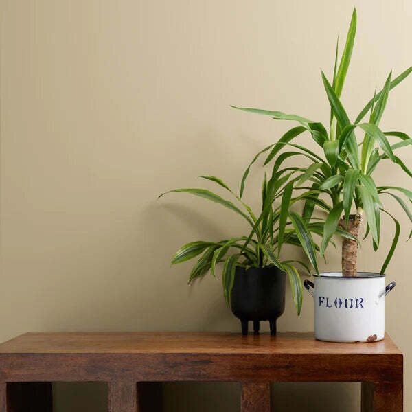 Frenchic Paint The Lazy Range - matta Funky Dora