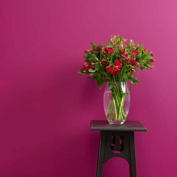 Frenchic Paint The Lazy Range - matta Plum Pudding