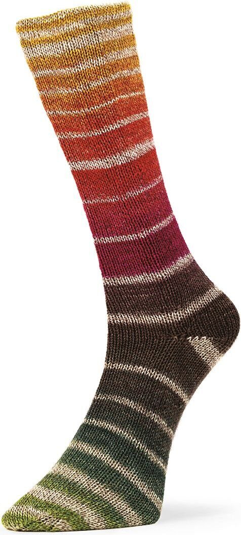 Laines du Nord Nordik Socks 02 ruska