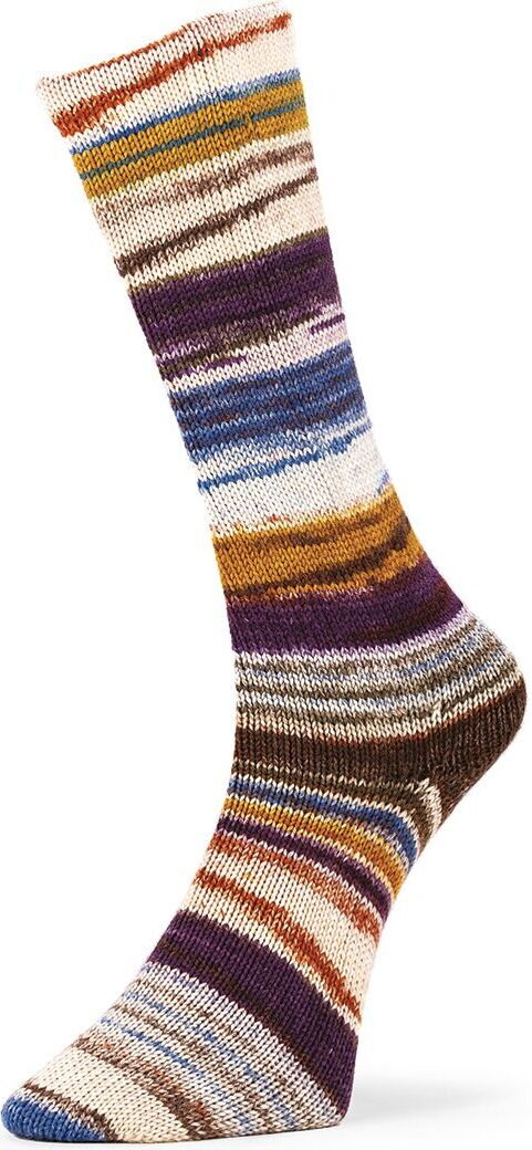 Laines du Nord Optilcal Socks 6-ply 03
