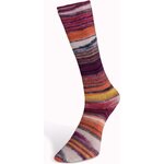 Laines du Nord Eclectic Sock