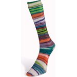 Laines du Nord Eclectic Sock