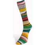 Laines du Nord Eclectic Sock