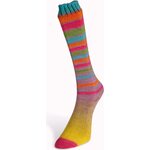 Laines du Nord Infinity Sock