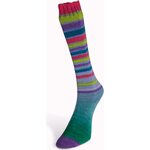 Laines du Nord Infinity Sock