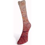 Laines du Nord Paint Gradient Sock