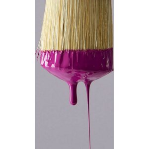 Frenchic Paint Lazy Range