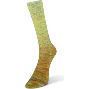 Laines du Nord Paint Gradient Sock