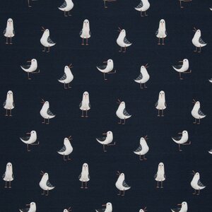 Swafing Lokki, Aurich